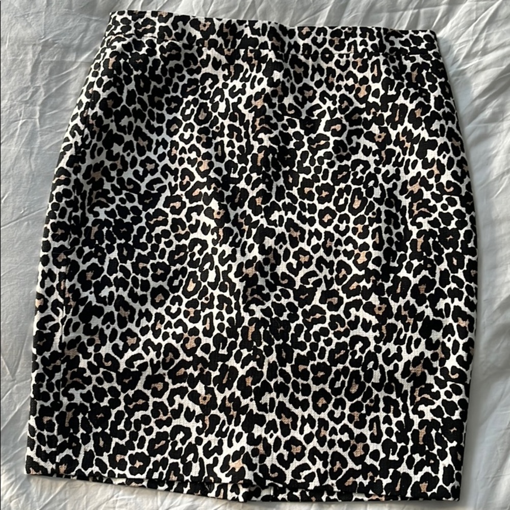 JCrew skirt